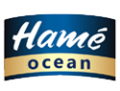 Hamé Ocean
